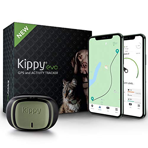 Kippy Evo - Collare GPS per Cani e Gatti con Localizzatore e Rilevatore dell'Attività e dello Stato di Salute - Accessori Cani e Gatti - con Batteria a Lunga Durata e Torcia LED - Verde
