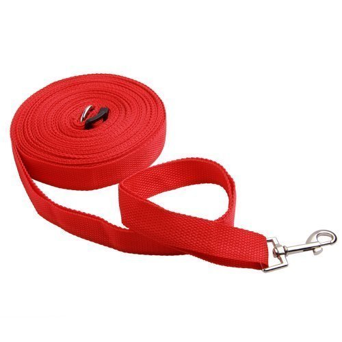 iNeego Guinzaglio per Cani 10M Guinzaglio Addestramento per Cani Nylon Guinzaglio Lungo per Cani Resistente Leggero Regolabile con Fibbia Lega Zinco per Cane(Rosso 10M)