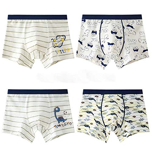 RAISEVERN Cute Little Boys 'Packs 5 Underwear Boy Hipster 3D Dinosaur Boxer Stampa Slip Shorts Pantaloni di Sicurezza 115CM