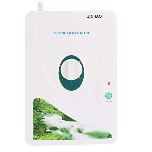 Generatore di Ozono Digital Ozono 600 mg/h macchine per frutta verdura carne Hydro acqua dolce Rad Timer - 1-60 min