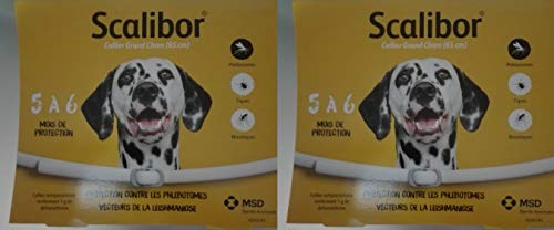 Scalibor 2 Collare (2 Boxes), 65 cm - MSD Animal Health