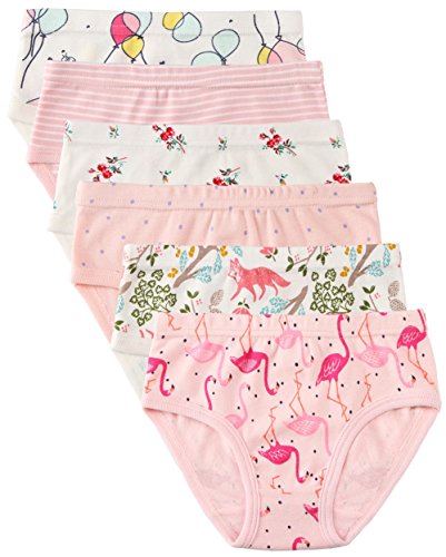 Confezione da 6 Piccola Bambine e Ragazze Biancheria Intima in Cotone da 1 a 7 Anni, Mutandine delle Neonate Undies della del Bambino (Fenicottero, 3-4 Anni/Vita 16,5