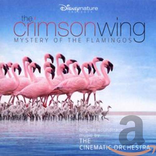 Crimson Wing: Mystery of the Flamingos