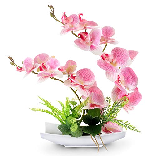 Yobansa Decorativi Real Touch Orchidea Finta Bonsai Fiori Artificiali con Imitazione Vasi da Fiori in Porcellana Phalaenopsis Composizione Floreale per la Decorazione Domestica (Pink 01)