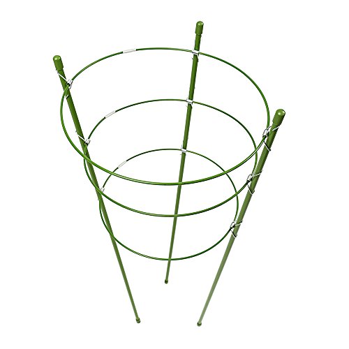 Warooma 2 confezione con 3 anelli regolabili a gabbia anello di supporto per piante da giardino traliccio pianta in vaso per piante rampicanti Vegtablesflowers, Acciaio, Green, 45 cm