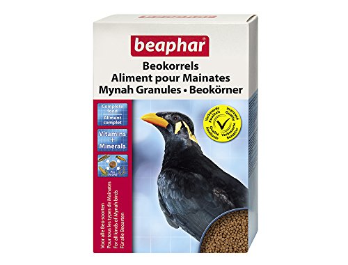 Beaphar - Mangime per Uccelli per Tutti i Tipi di Albero, Delizioso, 1 kg di mangime