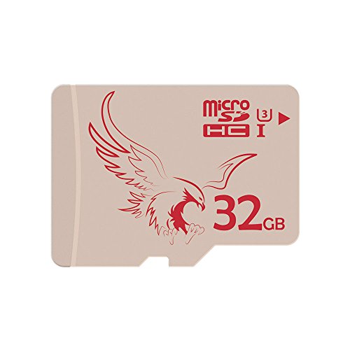 BRAVEEAGLE Micro SD Card 32GB Scheda di Memoria microSDHC per Dashcam (U3 32GB 2 Pezzi)