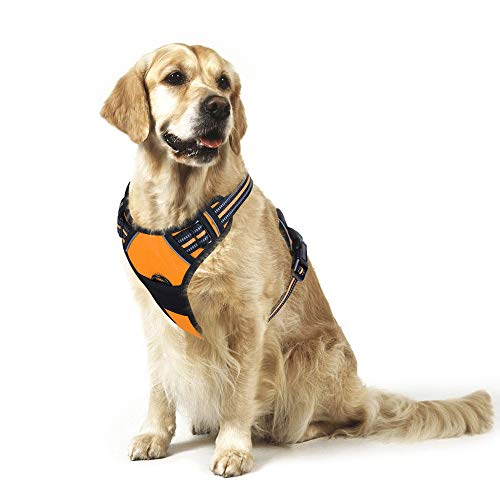 Pettorina Cane Taglia Grande, No-Pull Pettorina ad h Cane con 2 Ganci in Metallo, Imbracatura Regolabile Riflettente, Pettorina Labrador Pastore Tedesco per Jogging Addestramento(XL, Arancio)