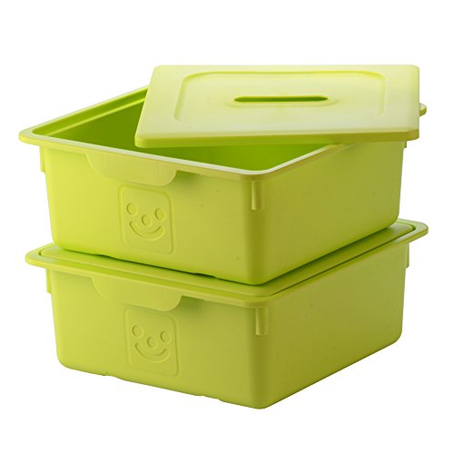 Iris Ohyama 135622 kdl-330 Set di 2 scatole plastica Pistacchio 33 x 31,5 x 13,5 cm