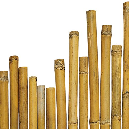N° 50 Canne Bamboo Bambù cm 210 x Ø mm 20-22 Per piante,agricoltura,orto,arredi,strutture,decorazioni