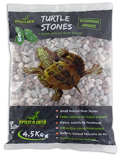 Rettili Planet Piccolo Ciottoli di Fiume Colori Naturali per Tartaruga Acquatici Turtle Stones 4,5 kg