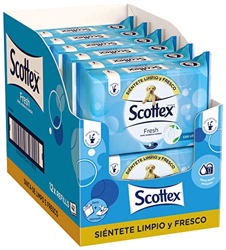 scottex Fresh, carta igienica umido – 12 confezioni da 40 (Totale 480 pezzi)