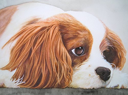 Il tuo cane o gatto come opera d'arte! Dipinti del tuo animale domestico secondo il tuo modello di foto