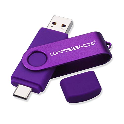 Chiavetta USB USB 3.0 di tipo C Wansenda USB Pen Drive OTG Flash Drive Per Tipo-C Dispositivi Android/PC/Mac (512GB, Viola)