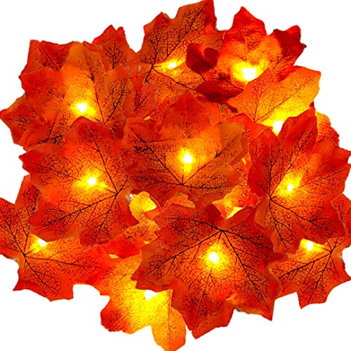 Decorazioni autunnali, Ainkedin luci halloween, 30 Maple Leaf Light Decorazioni del Ringraziamento Ghirlanda, halloween decorazioni decorazioni natalizie applique da parete interno moderno autunno