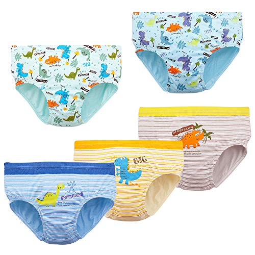 RAISEVERN Boys 3D Stampa Dinosauro Boxer Shorts 5 Pezzi Biancheria Intima per Bambini Slip per Bambini Mutande di Cotone Pantaloni per Bambini Taglia 8-9 Anni