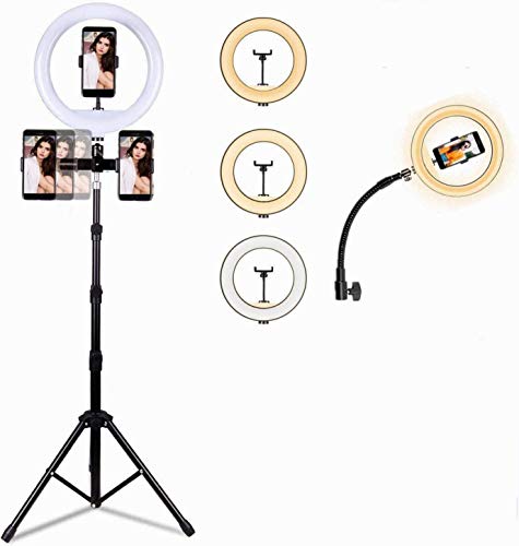 Anello luminoso a LED Supporto per treppiede RingLight pieghevole da 10 pollici portatile per video YouTube, Studio, trucco, dimmerabile 3 modalità di illuminazione 11 Livello di luminosità (SET 3)