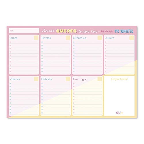 Erik® - Planning da Tavolo Carouge Blue & Pink, con planner settimanale e 54 fogli a strappo, perfetto come agenda appuntamenti