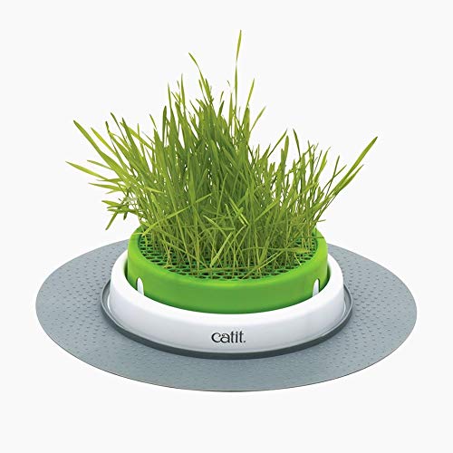 Catit 43161W Senses 2.0 Grass Planter - Vaso per Erba