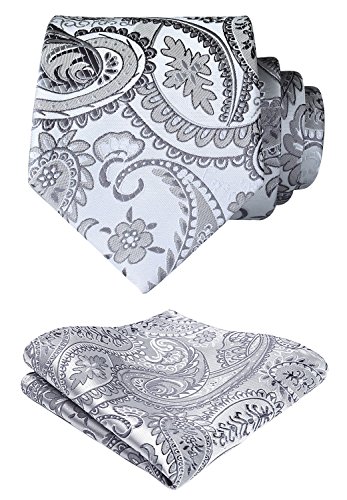 HISDERN Cravatta da Uomo Paisley Floreale Extra Lungo e Fazzoletto 8.5cm Cravatte e Fazzoletti Set Formale Matrimonio(160cm)