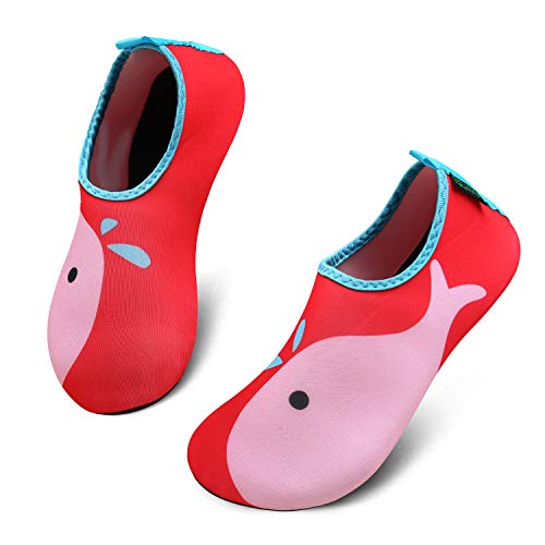 katliu Bambini Scarpe da Immersione Ragazze Ragazzi Scarpette da Surf da Scoglio Water Shoes per Piscina Nuoto Spiaggia Canottaggio Vela Aqua Cycling Snorkel Mare Fiume(067 Rosso, 24/25 EU)