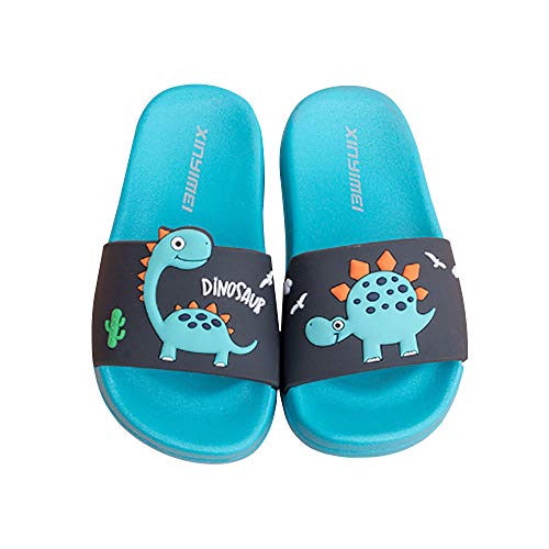 Scarpe da Spiaggia Pantofole da Bagno Sandali Estive Piscina Bambini Dinosauro Ragazzo Ragazza Interno Pantofole da Casa Unisex Scarpe da Famiglia (Blu, Numeric_29)