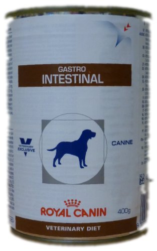 Royal Canin Veterinary Diet Wet Dog Food canine Gastrointestinal 400 g (confezione da 12)