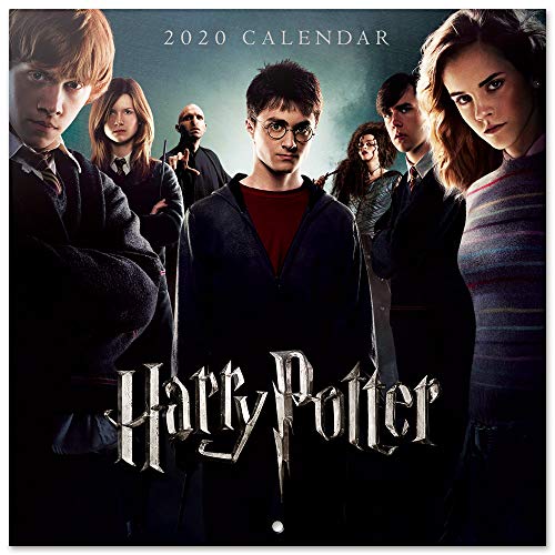 Erik® - Calendario 2020 da muro per casa o ufficio, 30x30 cm, include un poster in regalo - Harry Potter