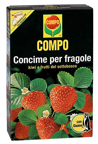 Compo, Concime per Fragole con Guano, Ottimo Anche per Kiwi, lamponi, mirtilli, Ribes e UVA Spina, 1 kg, 1Kg