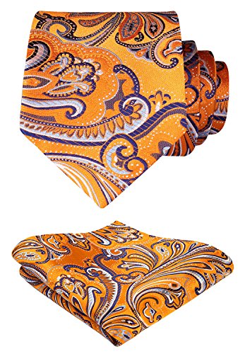 HISDERN Cravatta da Uomo Paisley Floreale Extra Lungo e Fazzoletto 8.5cm Cravatte e Fazzoletti Set Formale Matrimonio(160cm)