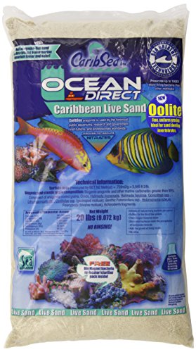 Carib Sea Ocean Direct Natural Live Sand Sabbia Corallina Bianca per acquario 9,07 kg