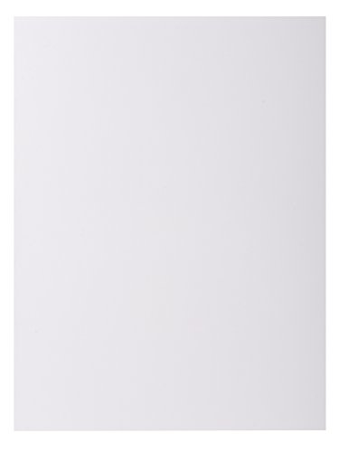 Exacompta 210017E Cartelle Semplici, 24x32 cm, Bianco, Confezione da 100 cartelle
