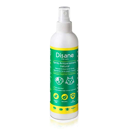 DISANE Antiparassitario Spray per Cani Naturali | Repellente per Insetti 250ml | Respinge Le pulci, zecche, pidocchi e zanzare (Leishmania) | Ideale per spruzzare sul Cane Prima della Passeggiata