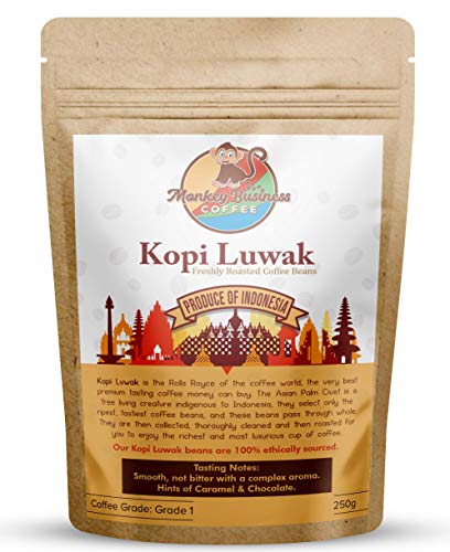 Monkey Business Coffee - Chicchi Di Caffè Macinato Kopi Luwak Selvatici - 250 Grammi (Altri Pesi E Tipi Di Fagioli Disponibili) - Sourced Sostenibile (Dall'indonesia)