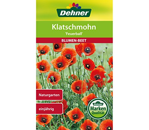 Dehner Blumen-Saatgut, Klatschmohn, Feuerball, 2.5 g Sementi, 5er Pack (5 x 2.5 g)