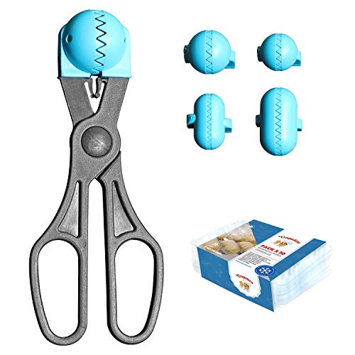 La Croquetera Pack- Utensile Multiuso Color Turchese – 4 stampi intercambiabili per Sfoglia + Pack 20 vassoi Alimentare – 100% Spagnolo: Brevettato e Made in Spagna