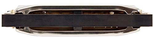 Hohner M560116X - Armonica a bocca Special 20 Bb
