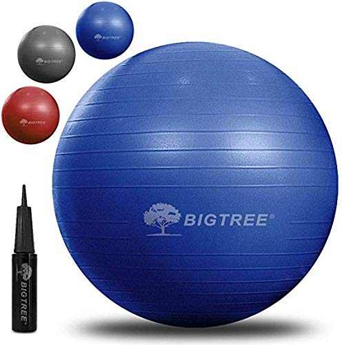 BIGTREE Anti-Burst Palla da Ginnastica Fitness Yoga Core, Blu, 55 cm