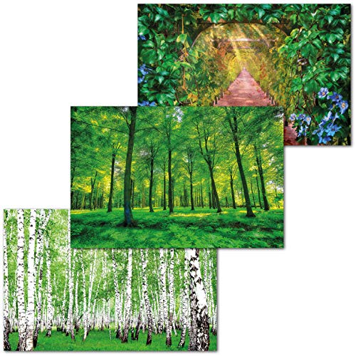 GREAT ART Set di 3 Poster XXL - Betulle & Foresta Estiva - Verde Bosco d'Autunno Foresta Bianca Corteccia Alberi Natura Paesaggi Decorazione Murale cadauno 140 x 100 cm
