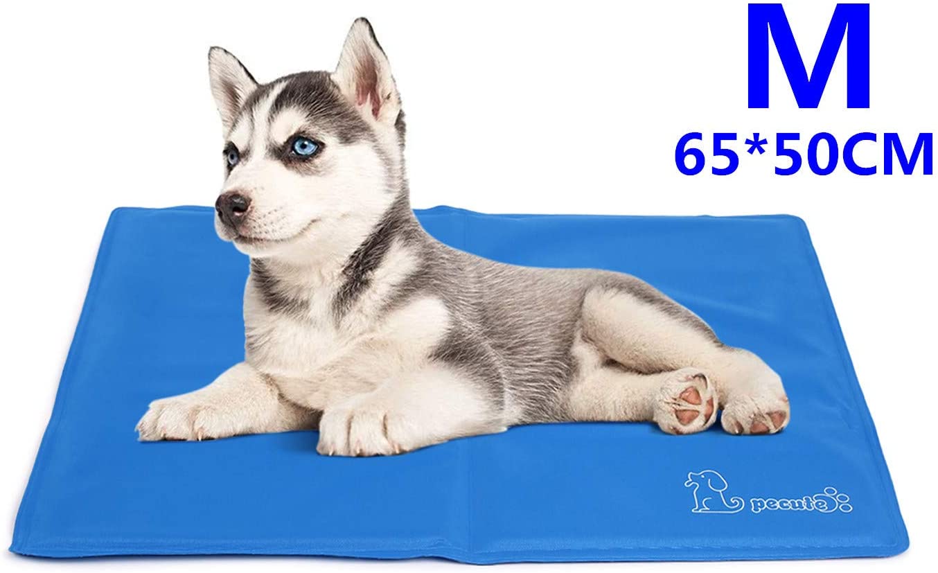Pecute Tappetino raffreddamento cani Medio 65x50 cm - gel non tossico - sistema di auto raffreddamento - perfetto per cani e gatti in estate