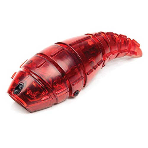 [Importo Inglese] Hexbug Larva - Colore Randomico