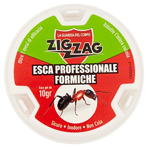 Zig Zag, Esca Insetticida Antiformiche in plastica rigida pronta all'uso, con gel antiformiche da 10 gr, inodore, non cola, non sporca.
