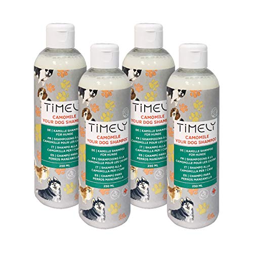 Timely, shampoo per cani camomilla, delicato ma intensivo per pelo ruvido e secco, confezione da 4 x 250 ml