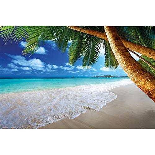GREAT ART Poster – Spiaggia di Palme – (59,4 x 42 cm) Decorazione Murale Caraibi Spiaggia da Sogno Baia Paradiso Natura Isola Palme Tropici Cielo Blu Decorazione da Parete – DIN A2