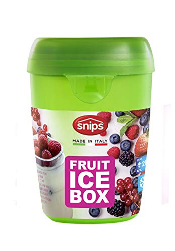 Snips Fruit Ice-Contenitore per Frutta con Ghiaccio, Verde Trasparente, 0,50 lt