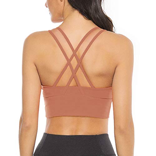 EVELIFE Reggiseno Sportivo Donna Imbottito, Reggiseni Sportivi con Spallacci Senza Ferretto, Sports Bra per Yoga Corsa Jogging Ginnastica(10023-Rosso Marrone XL)