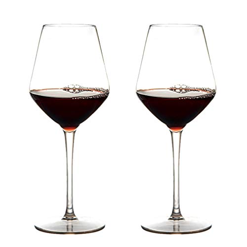 Michley Infrangibile Tritan Calici da Vino Rosso Plastica Dura, Bicchiere Vino da Campeggio da Viaggio BPA-Libera, 440 Ml (15 Oz) Set di 2