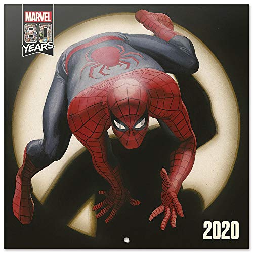 Erik® - Calendario 2020 da muro Marvel Comics. Licenza ufficiale, 30x30 cm, 12 mesi, include un poster in regalo