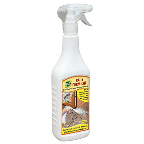 LGVSHOPPING Raus Formiche Casa 750 ML Spray Disabituante Repellente Naturale per Formiche