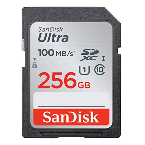SanDisk Ultra 256 GB SDHC Scheda di Memoria, Velocità Fino a 100 MB/sec, Classe 10, Confezione singola